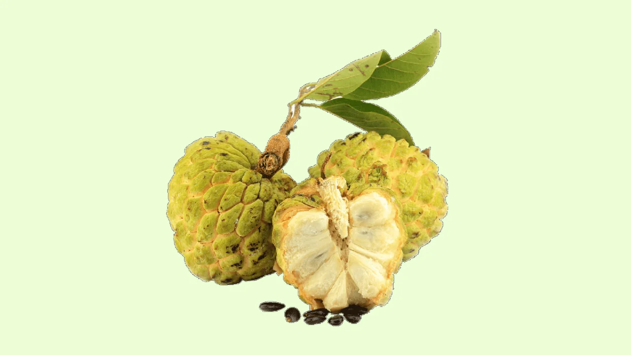 शरीफा के 5 अनमोल फायदे: Surprising Health Benefits of Custard Apple