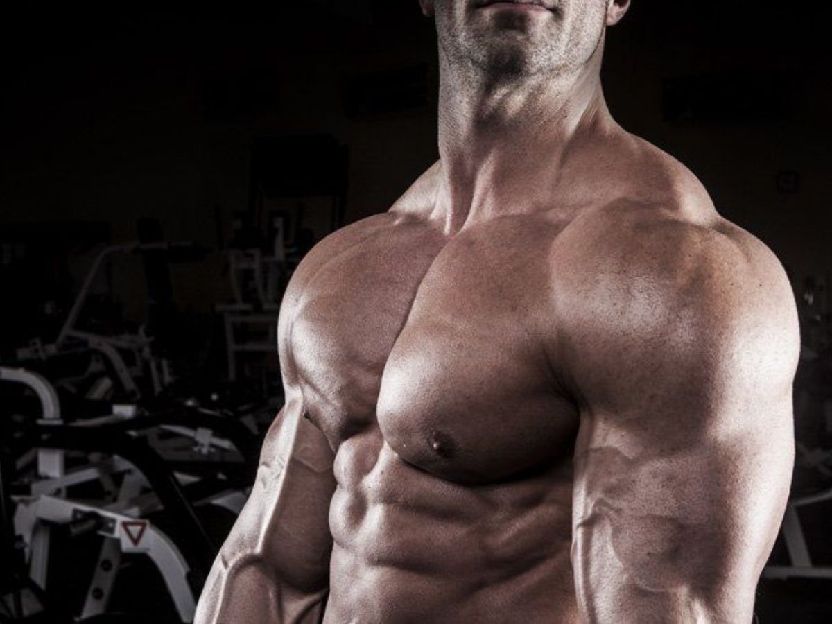 Read more about the article Wellhealthorganic How to Build Muscle Tips in Hindi: मांसपेशियां बढ़ाने के प्रभावी तरीके